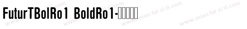 FuturTBolRo1 BoldRo1字体转换